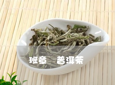 班章 普洱茶/2023042711699